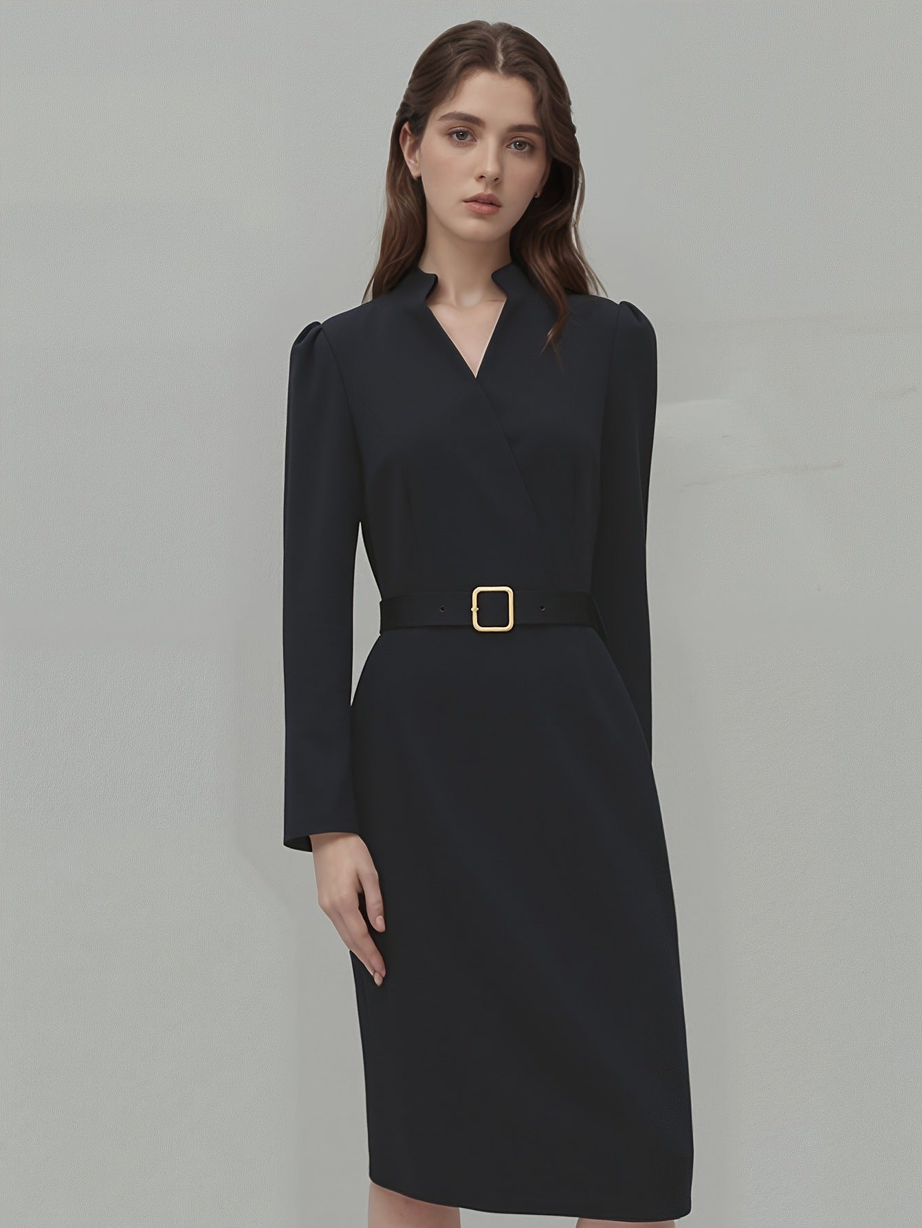 Women's Long Sleeve V-neck Dress